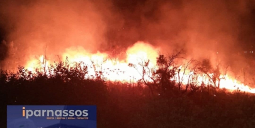 Πυρκαγιά σε χαμηλή βλάστηση στα Καστέλλια Φωκίδας