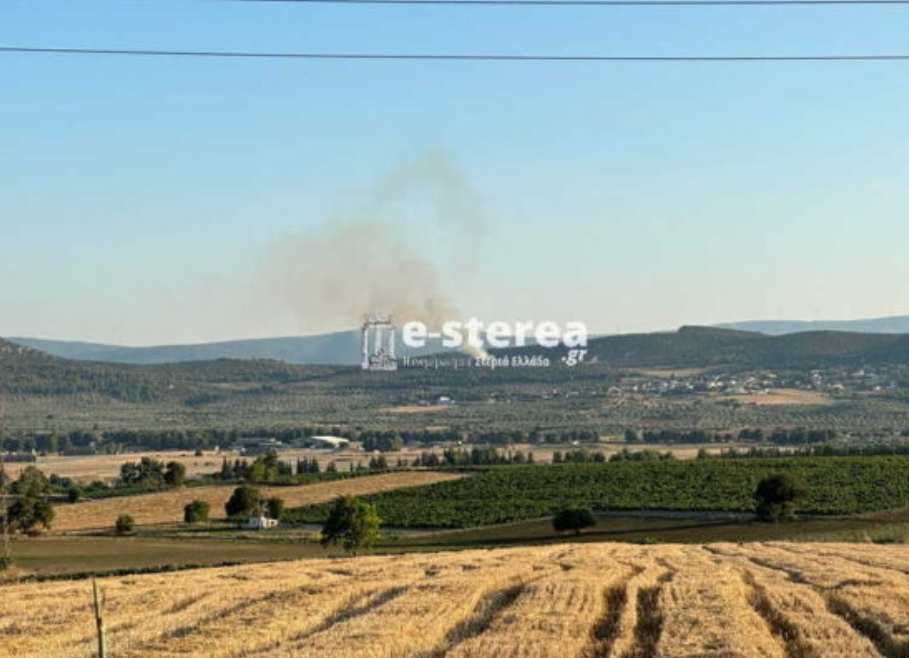 Πυρκαγιά σε δασική έκταση στην Τανάγρα Βοιωτίας