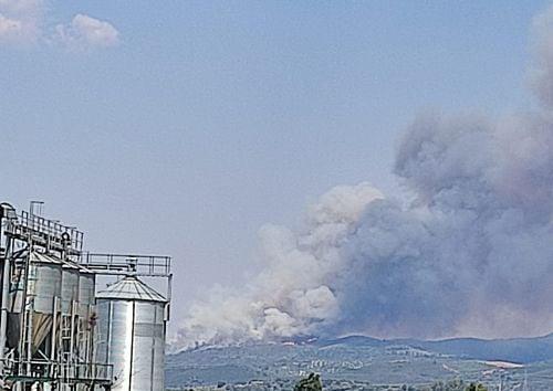 Μεγάλη πυρκαγιά σε δασική έκταση στην περιοχή Λευκόχωμα Λακωνίας