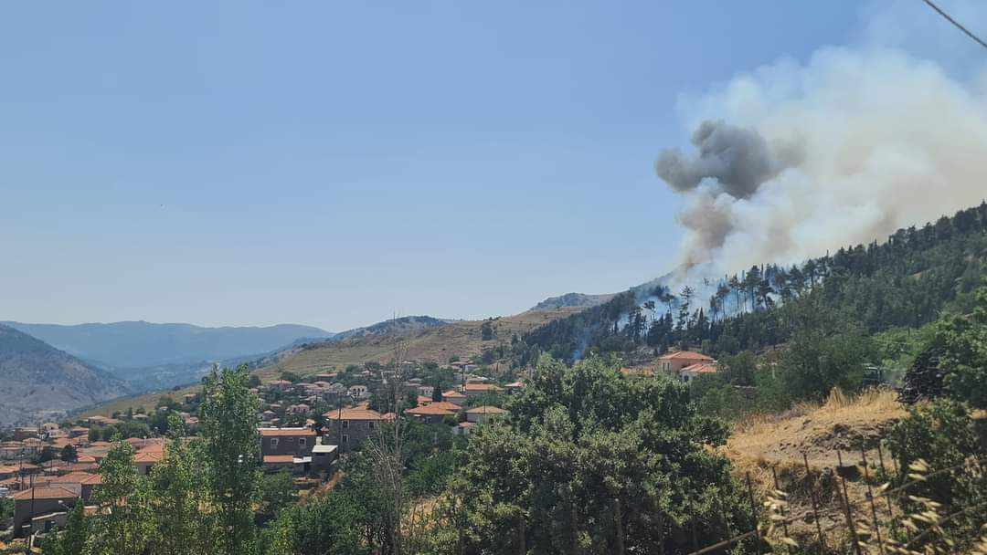 Πυρκαγιά σε χαμηλή βλάστηση στην Άντισσα Λέσβου