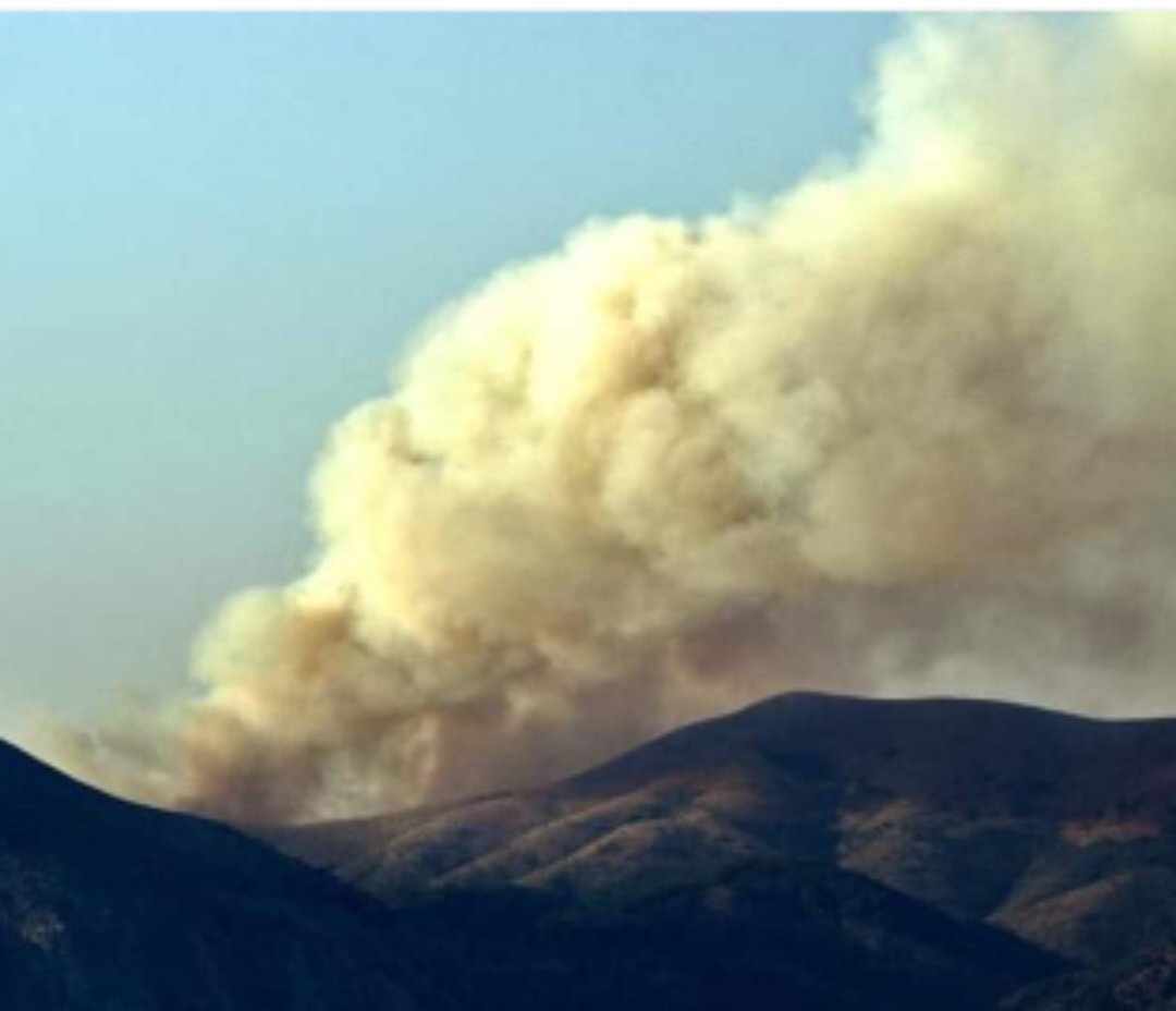 Πυρκαγιά σε δασική έκταση στις Λούτσες Κέρκυρας