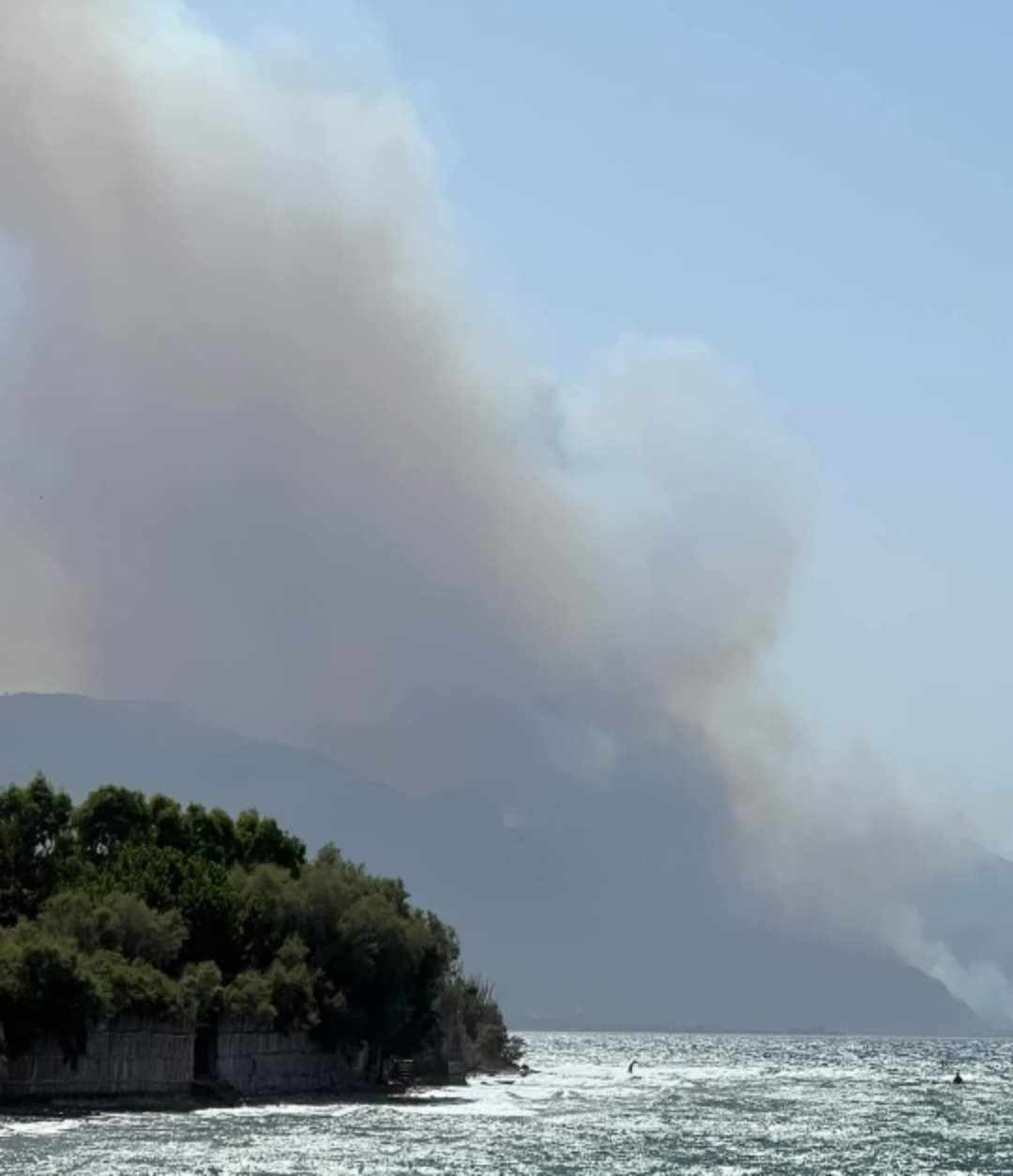 Πυρκαγιά σε δασική έκταση στην Μαμουσιά Αχαΐας