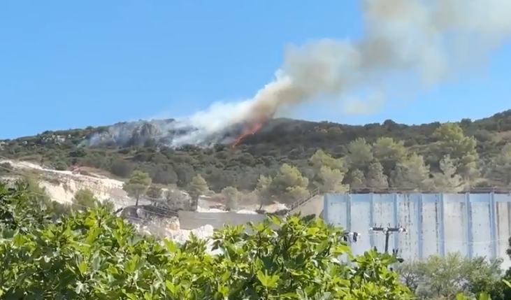Υπό μερικό έλεγχο η πυρκαγιά σε δασική έκταση στην περιοχή Μηνιά Κεφαλονιάς