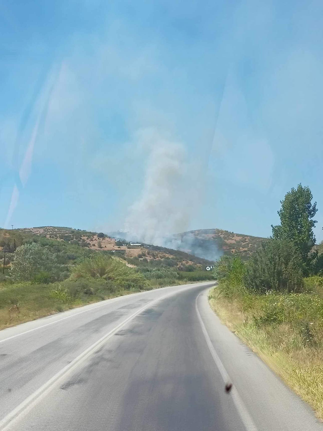 Πυρκαγιά σε δασική έκταση στην περιοχή Προφήτης Ηλίας Πέλλας