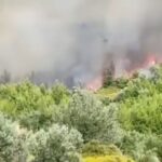 Πυρκαγιά σε δασική έκταση στην ευρύτερη περιοχή της Μονής Μεγίστης Λαύρας στο Άγιο Όρος