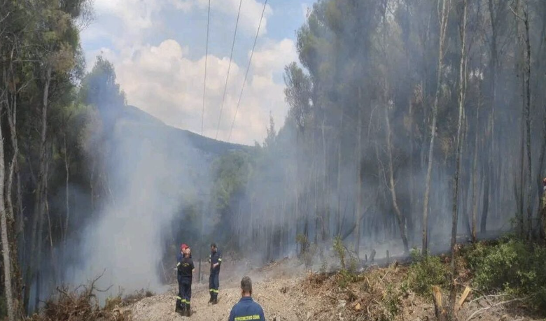 Υπό έλεγχο τέθηκε η πυρκαγιά σε δασική έκταση στην Ψάθα Αττικής