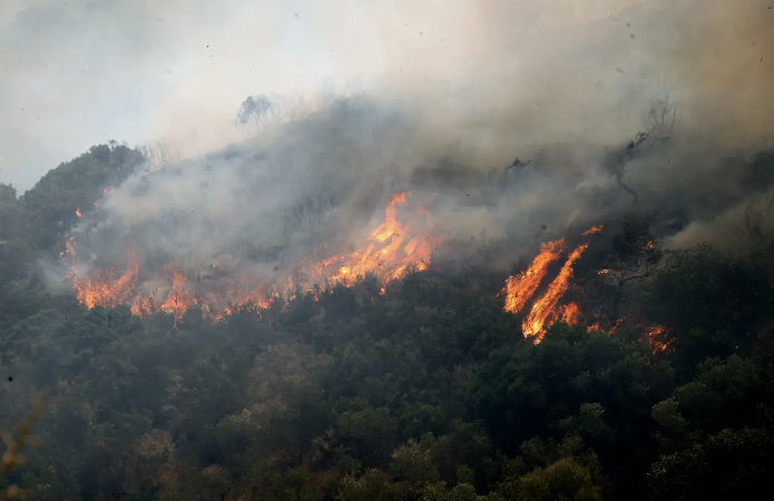Πυρκαγιά σε αγροτοδασική έκταση στην περιοχή της Φρίξας Κρεστένων Ηλείας