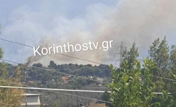 Πυρκαγιά σε αγροτοδασική έκταση στην περιοχή Λημέρι Κορινθίας