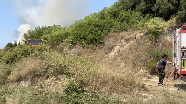 Πυρκαγιά σε δασική έκταση στην περιοχή Λακήθρα Κεφαλονιάς