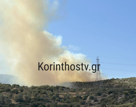 Πυρκαγιά σε αγροτοδασική έκταση στο Μαψό Κορινθίας
