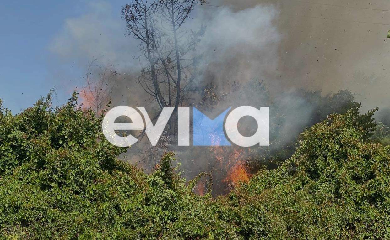 Πυρκαγιά σε αγροτοδασική έκταση στα Βίταλα Ευβοίας Πυρκαγιά σε αγροτοδασική έκταση στα Βίταλα Ευβοίας