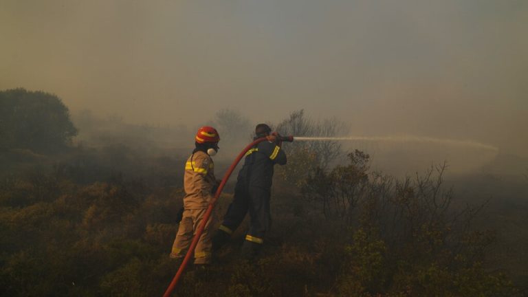 Σύλληψη για πυρκαγιά σε αγροτοδασική έκταση στη Σπάρτη