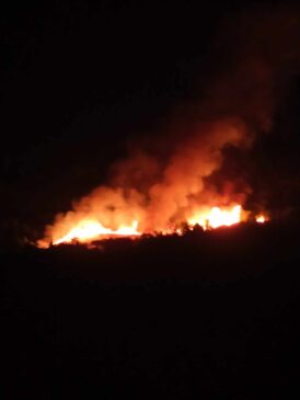 Πυρκαγιά σε δασική έκταση στην περιοχή Διευχά στην Χίο
