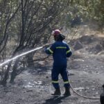 Σύλληψη για εμπρησμό από πρόθεση σε δασική και αγροτική έκταση στη Βοιωτία