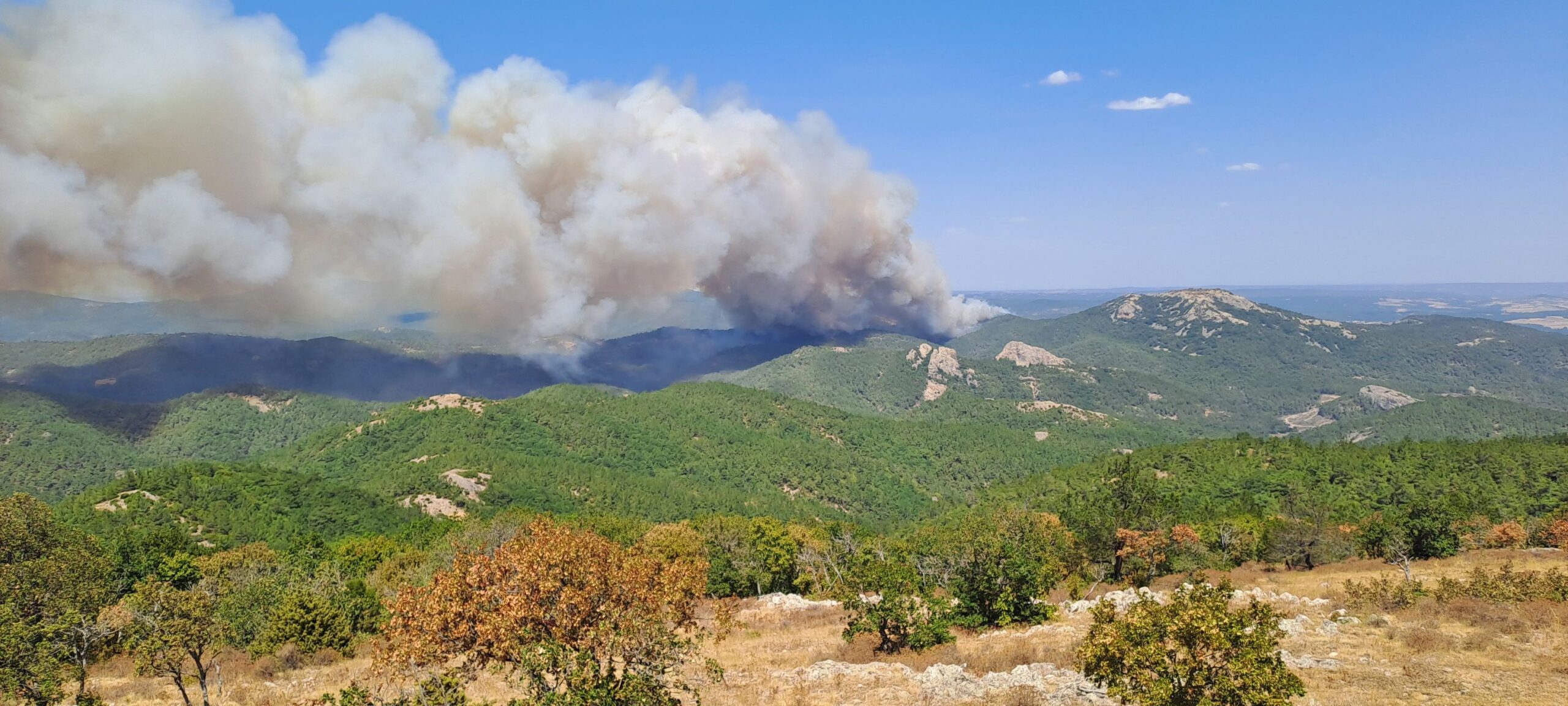 Πυρκαγιά σε δασική έκταση στην περιοχή της Δαδιάς Έβρου