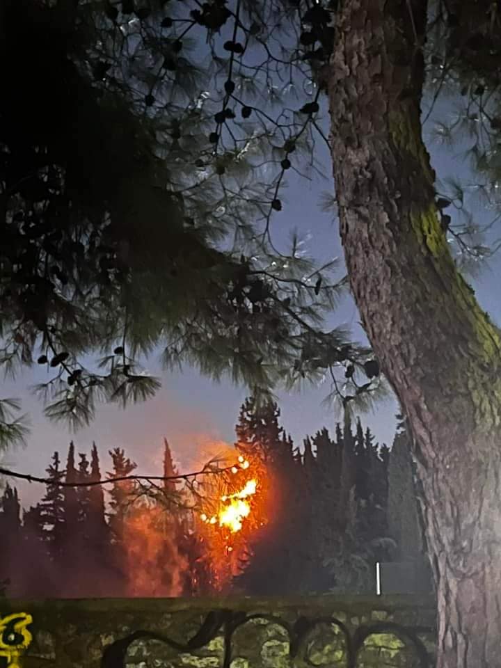 Πυρκαγιά στο σκοπευτήριο της Καισαριανής