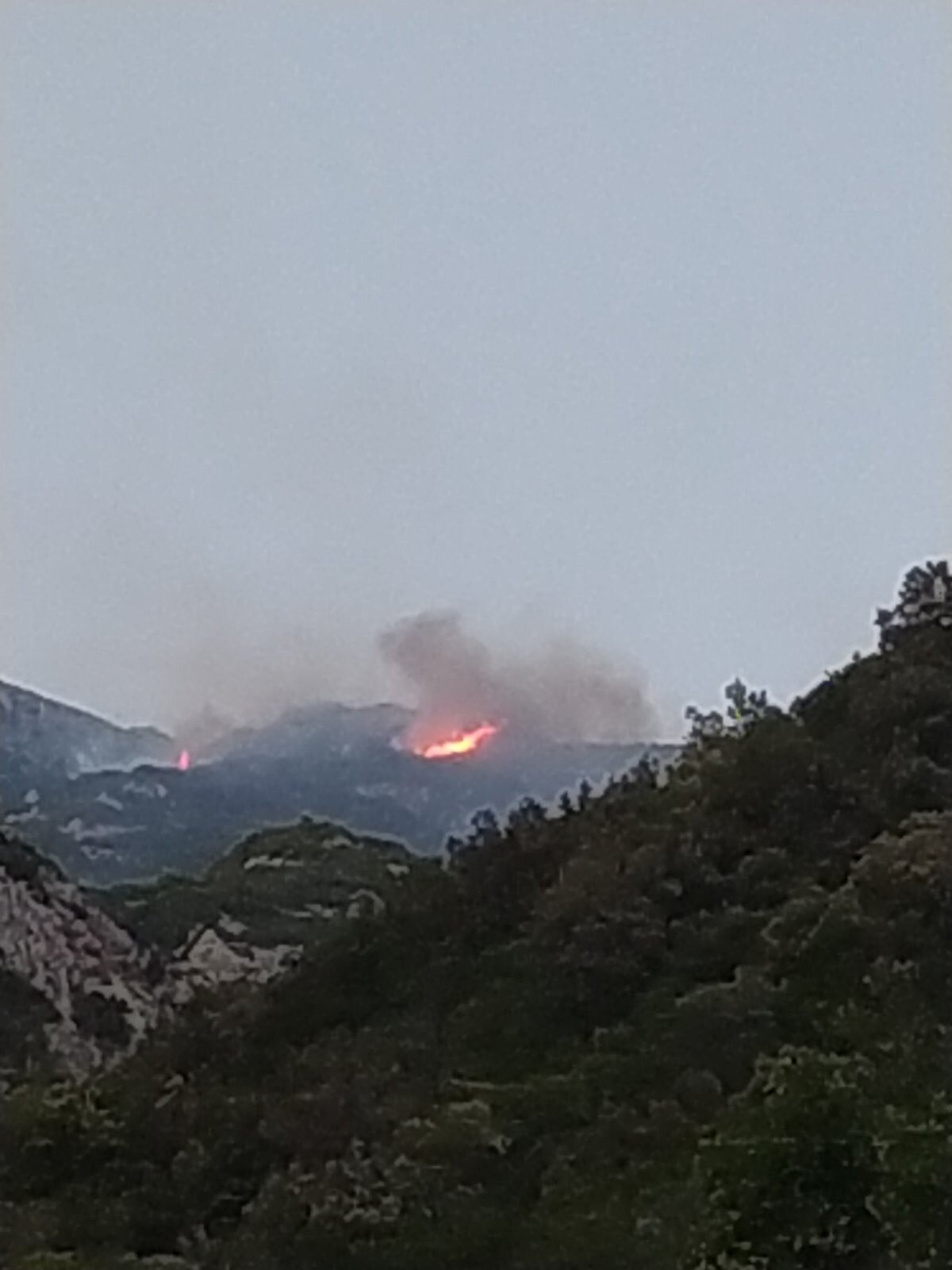 Πυρκαγιά σε δασική έκταση στην περιοχή Κερασιά στο Άγιο Όρος (Φωτό)
