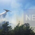 Υπό μερικό έλεγχο πυρκαγιά σε δασική έκταση στη Οργάνη Ροδόπης