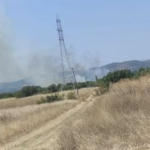 Υπό μερικό έλεγχο η πυρκαγιά σε αγροτοδασική έκταση στο Αρδάνι Έβρου