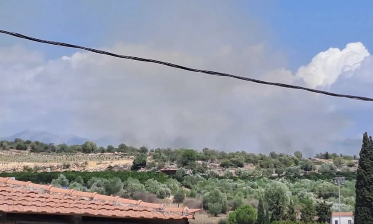Πυρκαγιά σε αγροτοδασική έκταση στην περιοχή Φιλήσι Λακωνίας