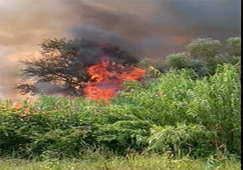 Πυρκαγιά σε αγροτοδασική έκταση στον Νέο Συνοικισμό Λουτροτόπου Άρτας (Φωτό)