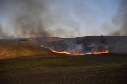 Πυρκαγιά σε αγροτική έκταση στο Δοξαρά Λάρισας