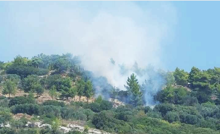 Άμεσα τέθηκε υπό μερικό έλεγχο πυρκαγιά σε χαμηλή βλάστηση στην περιοχή Λακήθρα Κεφαλονιάς