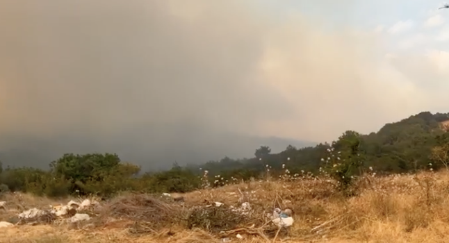 Ενισχύθηκαν οι δυνάμεις για την πυρκαγιά σε δασική έκταση στην Αλεξανδρούπολη