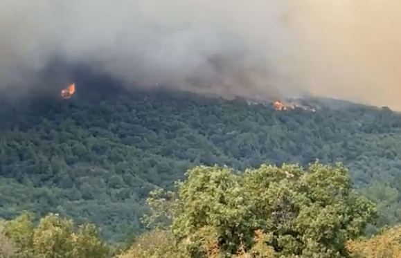 Ενισχύθηκαν οι δυνάμεις για την πυρκαγιά σε δασική έκταση στην Αλεξανδρούπολη