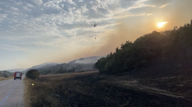 Πυρκαγιά στην Αλεξανδρούπολη: Ανεξέλεγκτο το μέτωπο - Ενισχύθηκαν ξανά οι άνεμοι