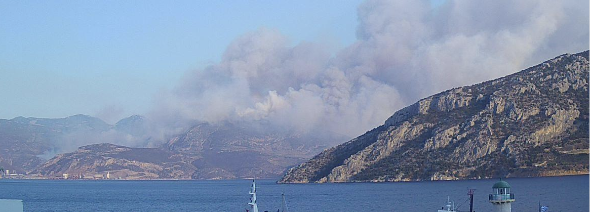 Πυρκαγιά σε δασική έκταση στην περιοχή Tαρσός Βοιωτίας (Φωτό)