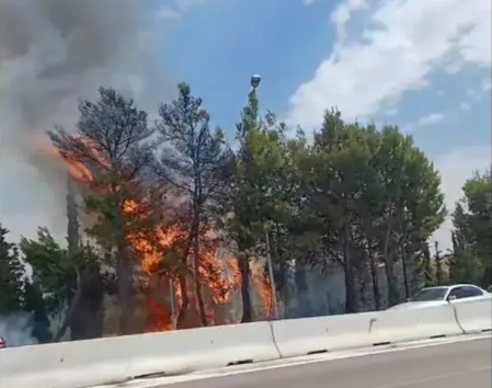 Πυρκαγιά σε ξερά χόρτα στο Σχολάρι Θεσσαλονίκης