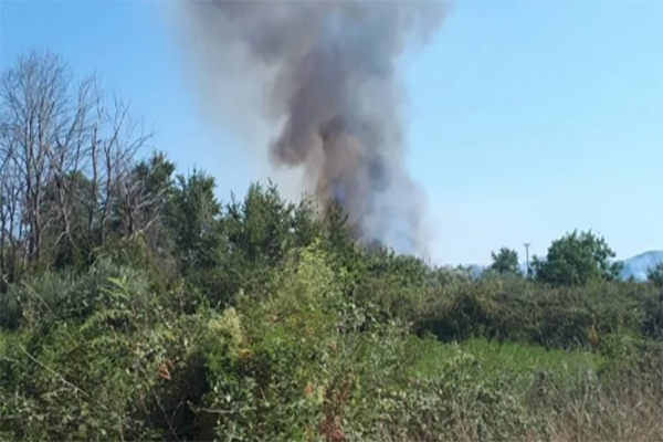 Πυρκαγιά σε αγροτοδασική έκταση στην περιοχή Βραγκανιώτικα στη νότια Κέρκυρα