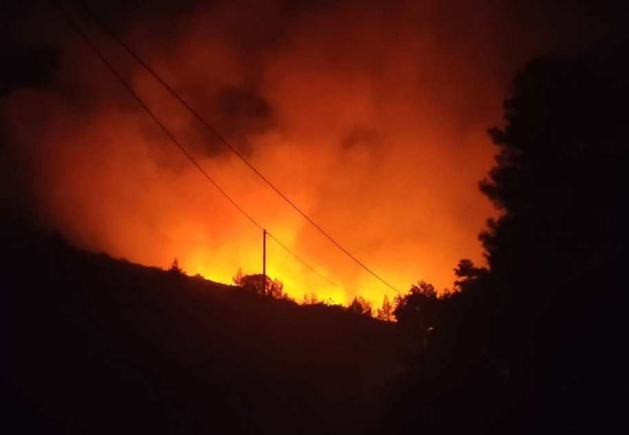 Πυρκαγιά σε αγροτοδασική έκταση στην περιοχή Δελφίνι Χίου