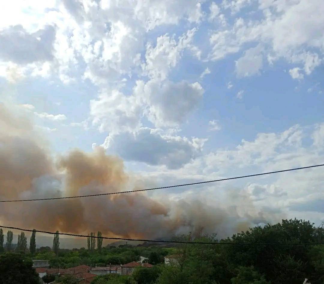 Πυρκαγιά σε δασική έκταση στα Λάβαρα Έβρου