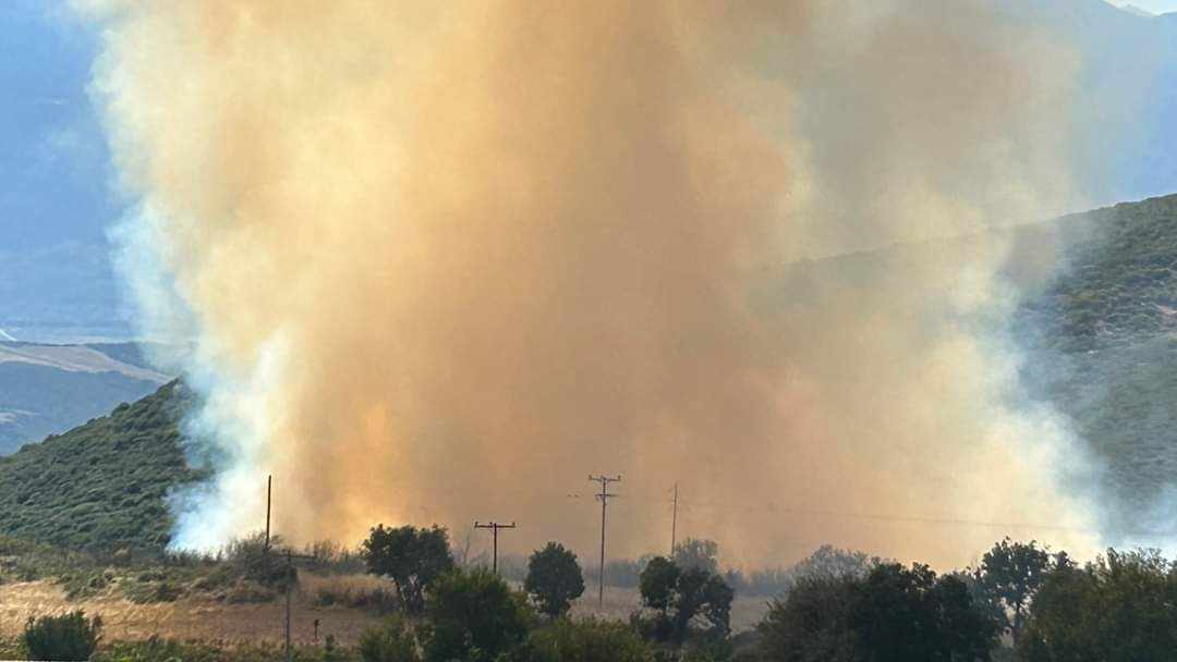 Πυρκαγιά σε δασική έκταση στην περιοχή Δίβρη Φθιώτιδας