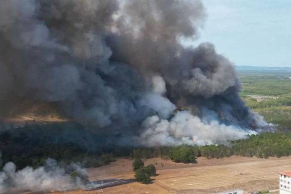 Μεγάλη δασική πυρκαγιά σε περιοχή κοντά στην Σμύρνη της Τουρκίας