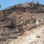 Πυρκαγιά σε αγροτοδασική έκταση στη Γόρτυνα Ηρακλείου