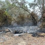 Υπό έλεγχο η πυρκαγιά σε δασική έκταση στο Δασοχώρι Ξάνθης