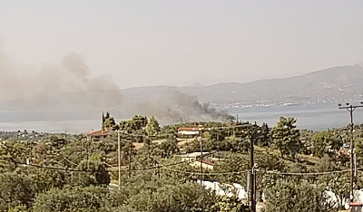 Πυρκαγιά σε δασική έκταση στο Μαρκόπουλο Ωρωπού Αττικής