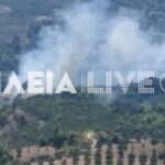 Πυρκαγιά σε δασική έκταση στην περιοχή Γούμερο Ηλείας