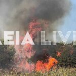 Πυρκαγιά λόγω κεραυνού στα Άσπρα Σπίτια Ηλείας