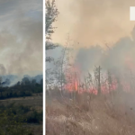 Άμεσα τέθηκε υπό έλεγχο πυρκαγιά σε αγροτική περιοχή στη στη Λευκόπετρα Ξάνθης