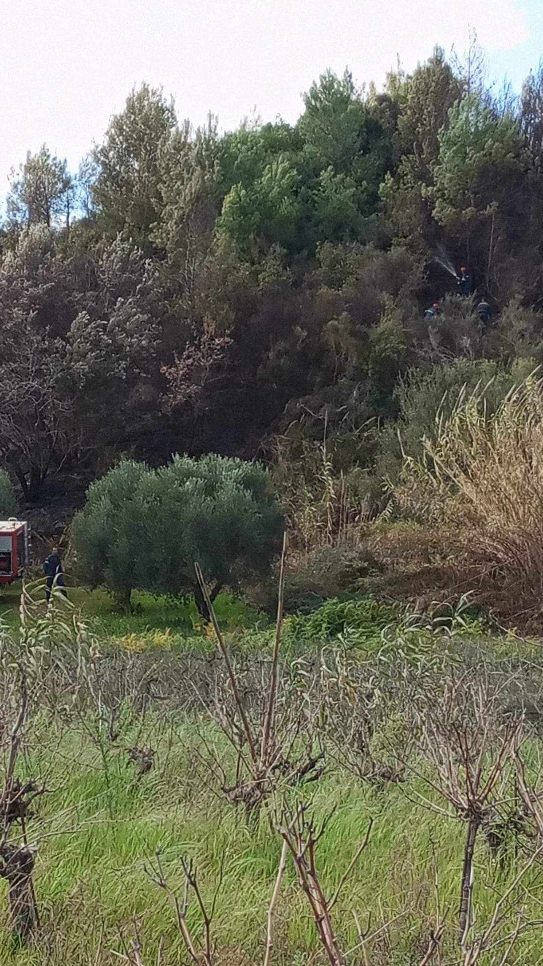 Πυρκαγιά σε αγροτοδασική έκταση στην περιοχή του Χειμαδιού Ηλείας