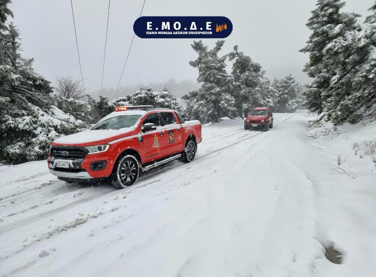 Πάρνηθα: Hμέρα εκπαίδευσης για τους δασοκομάντος της 1ης ΕΜΟΔΕ (Βίντεο)