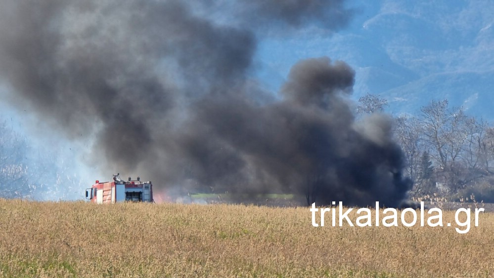 Πυρκαγιά σε έκταση με καλάμια στο Μέγα Κεφαλόβρυσο Τρικάλων