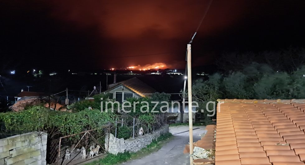 Πυρκαγιά σε δασική έκταση στις Μαριές Ζακύνθου