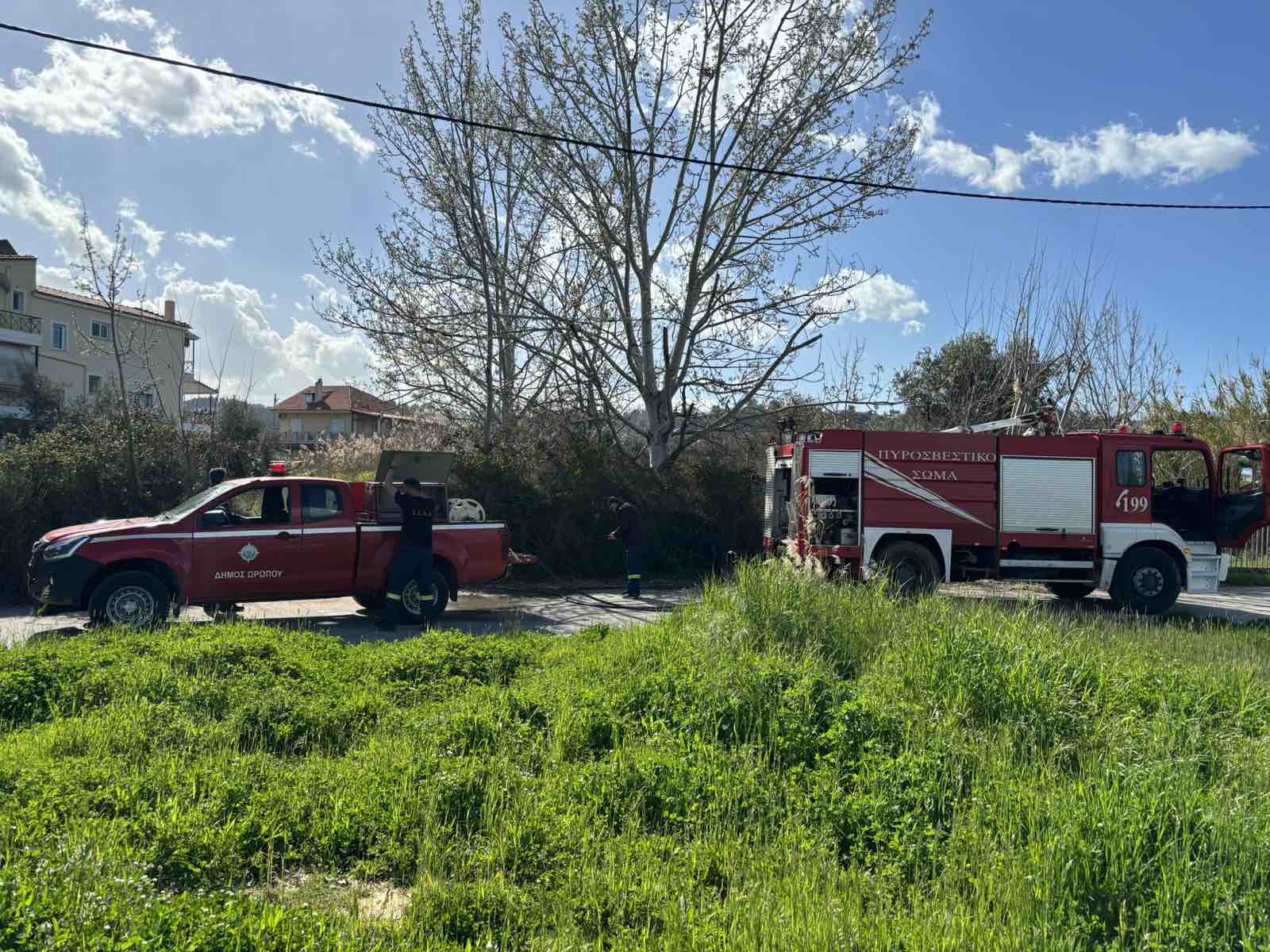 Πυρκαγιά σε οικοπεδικό χώρο επί της οδού Πιπεριάς στην παραλία Μαρκοπούλου Ωρωπού