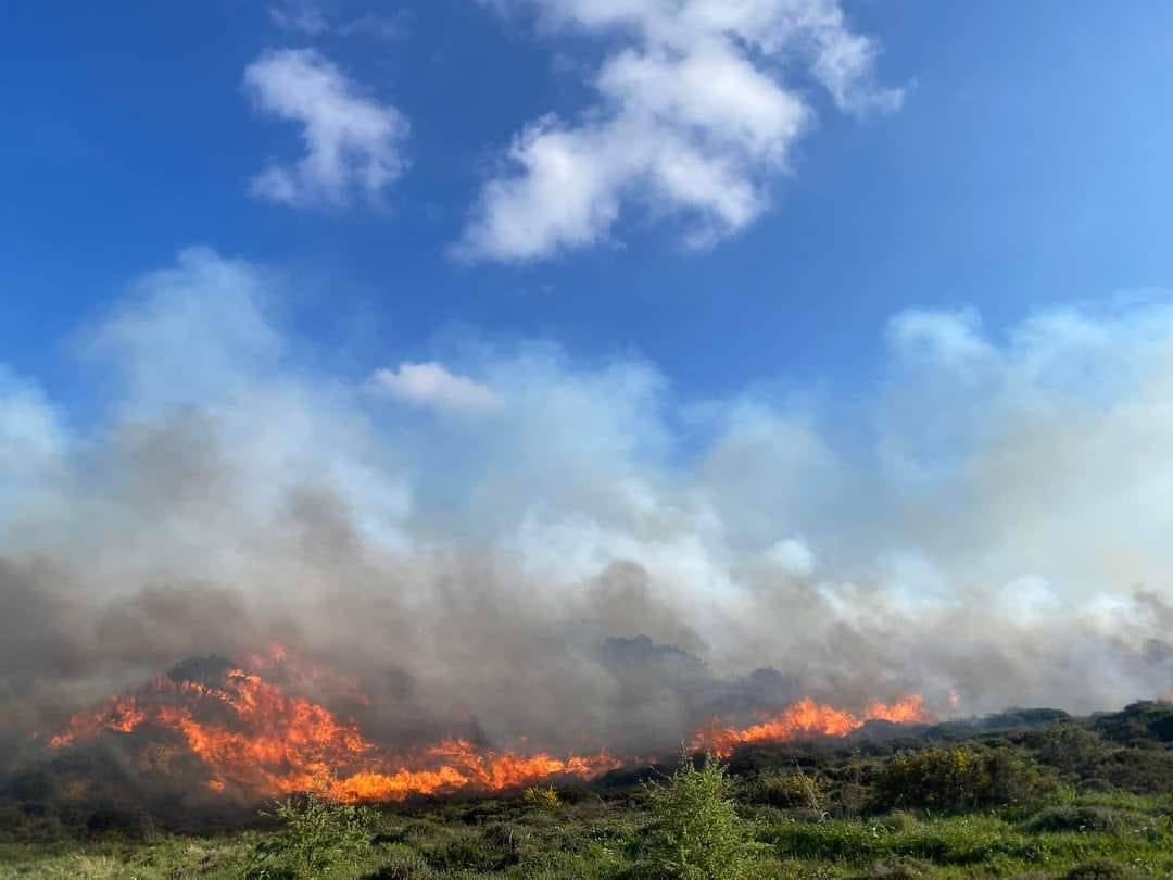 Πυρκαγιά σε δασική έκταση στην περιοχή Άγιος Μάμας Λακωνίας