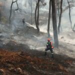 Επιβολή διοικητικών προστίμων για πρόκληση πυρκαγιών σε Ζάκυνθο και Αιτωλοακαρνανία